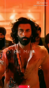 Animal Movie  Song Sari Duniya Jala Dengy CapCut Template