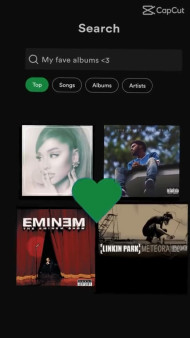 My Favorite Albums CapCut Template Video Link Free