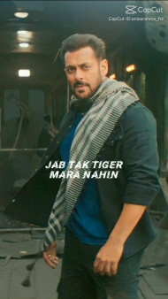 Jab Tak Tiger Mara Nahi Dailog  Movie Tiger 3 CapCut Template