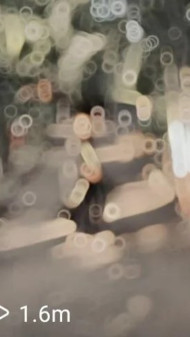 Kola Leke Vellari CapCut Template Link 2024 ( 100% Working )