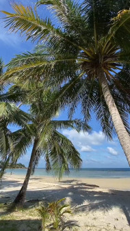 New Trend 2023 End Memories CapCut Effect Template